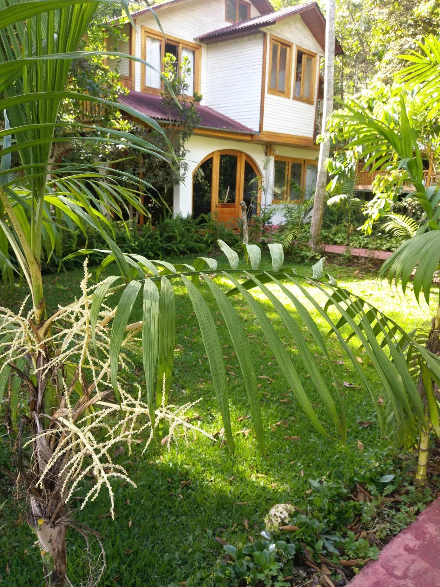 Villa Refugio de Orquídeas Oxapampa Exterior foto