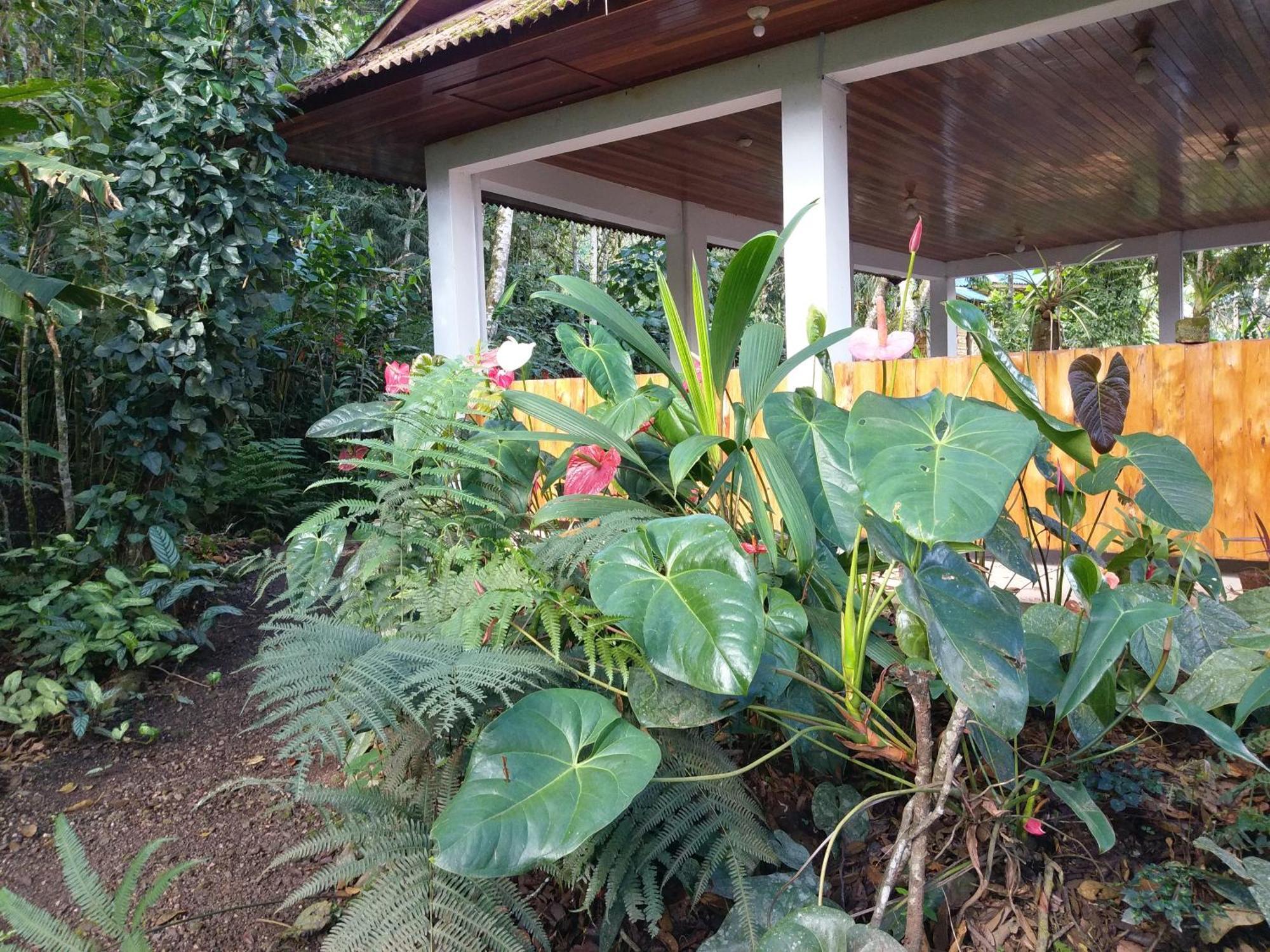 Villa Refugio de Orquídeas Oxapampa Exterior foto