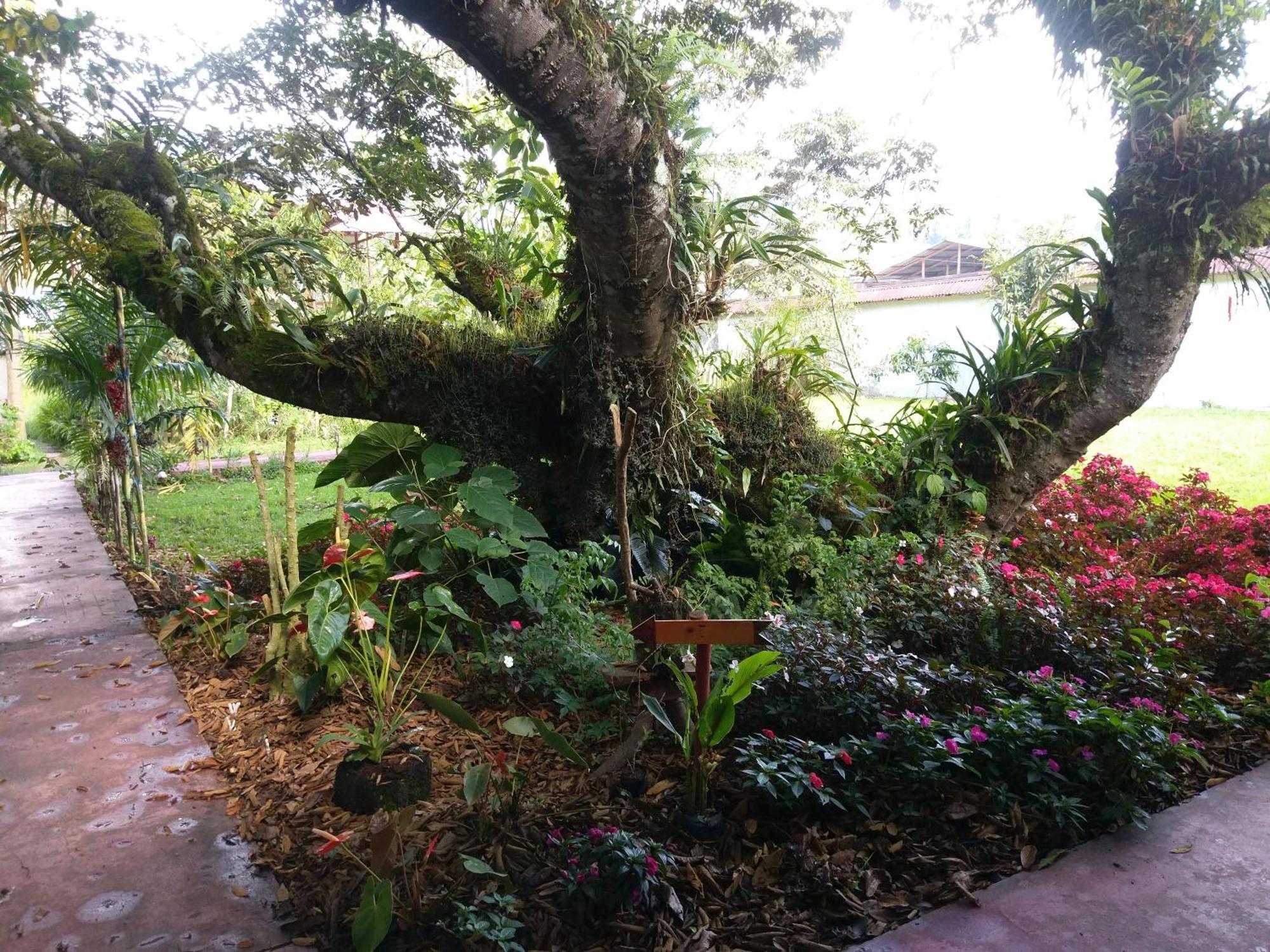 Villa Refugio de Orquídeas Oxapampa Exterior foto
