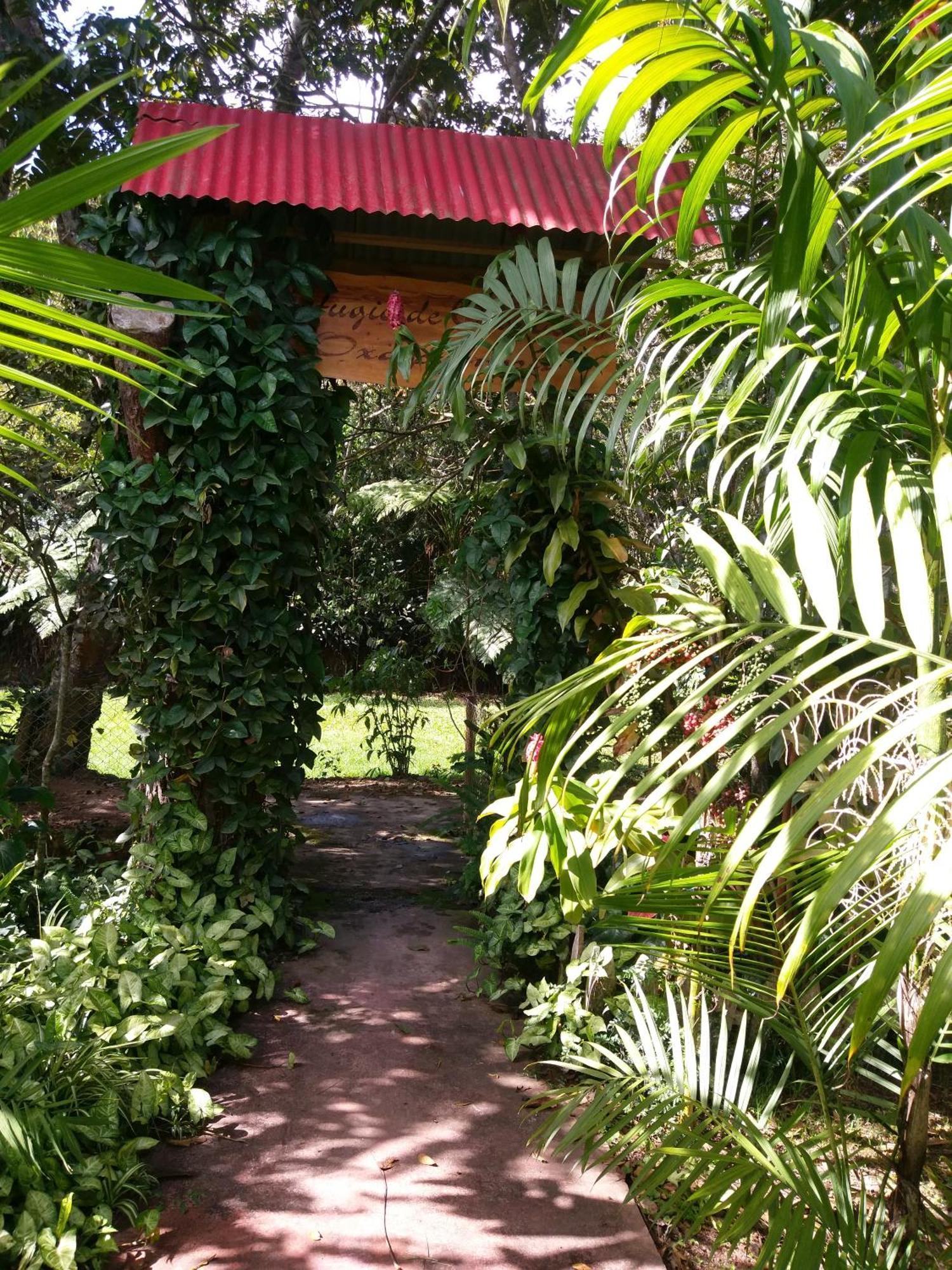 Villa Refugio de Orquídeas Oxapampa Exterior foto