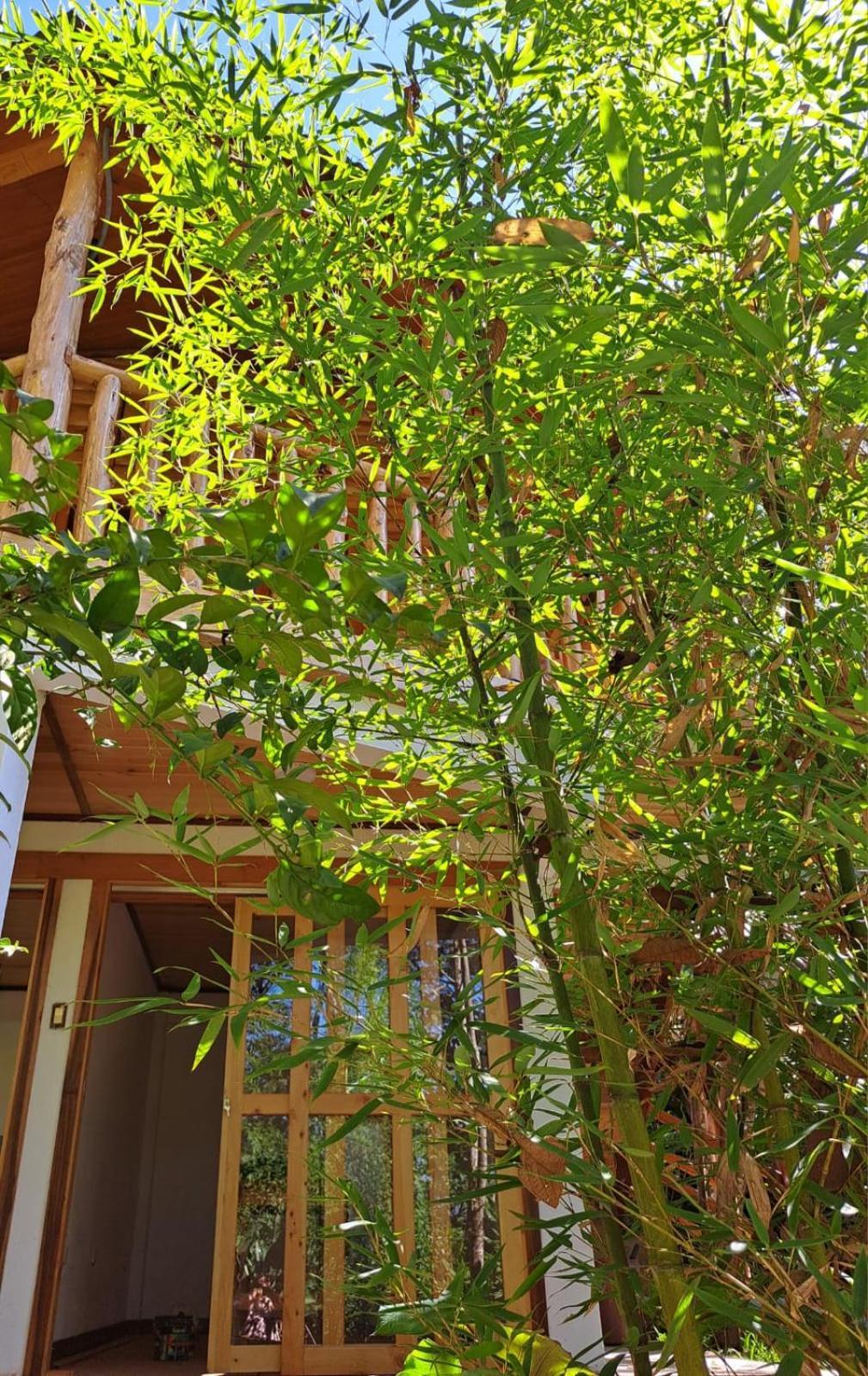 Villa Refugio de Orquídeas Oxapampa Exterior foto