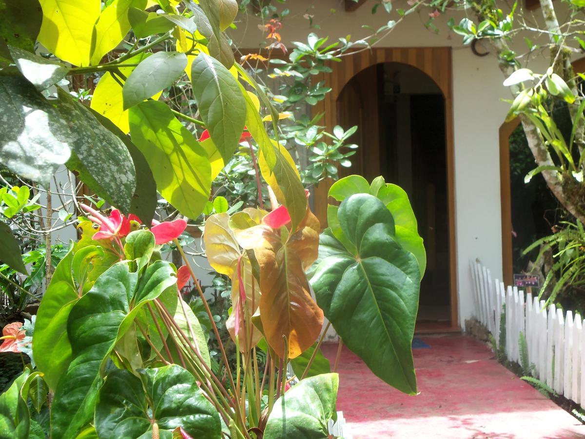Villa Refugio de Orquídeas Oxapampa Exterior foto