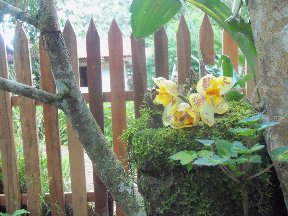 Villa Refugio de Orquídeas Oxapampa Exterior foto